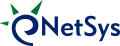 Netsys International