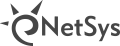 Netsys International