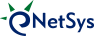 Netsys International